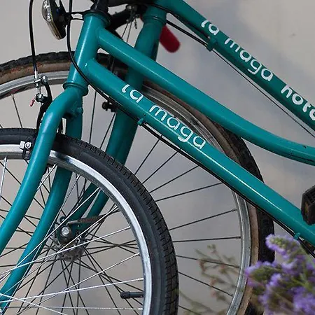 La Maga 3* 사티바